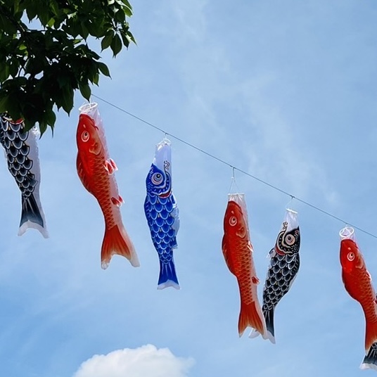 青空を泳ぐ200匹のこいのぼり